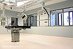 IMG_7825.jpg