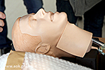 IMG_7976.jpg