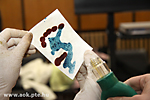 IMG_0840.jpg
