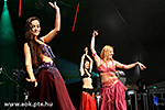 IMG_09542.jpg