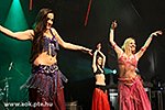 IMG_09545.jpg