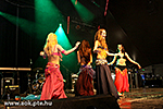 IMG_09558.jpg
