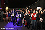 IMG_09773.jpg