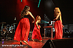 IMG_09826.jpg