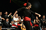 IMG_09991.jpg