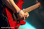 IMG_10062.jpg