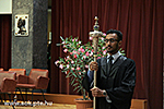 IMG_3377.jpg