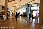 IMG_4134.jpg