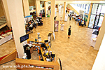 IMG_4151.jpg