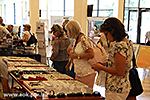 IMG_4224.jpg