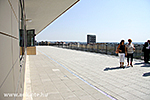 IMG_4338.jpg