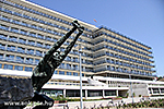 IMG_4364.jpg