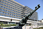IMG_4367.jpg