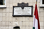 IMG_4467.jpg