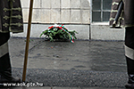 IMG_4469.jpg
