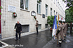 IMG_4472.jpg