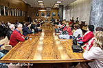 IMG_5567.jpg