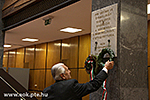 IMG_5795.jpg