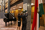 IMG_5801.jpg