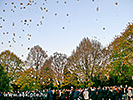 151030_res60_P1140369_resize.jpg