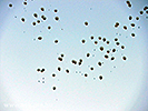 151030_res61_P1140374_resize.jpg
