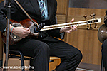IMG_6563.jpg