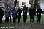 IMG_6645.jpg