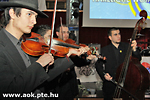 IMG_2065.jpg
