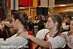 IMG_2106.jpg