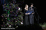 IMG_6846.jpg