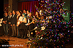 IMG_7096.jpg