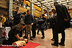 IMG_7543.jpg