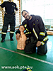 CAM02407.jpg