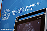 IMG_7805.jpg