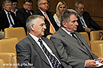 IMG_7902.jpg