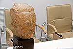 IMG_7967.jpg