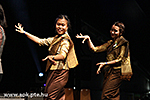 IMG_8378.jpg