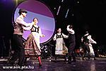 IMG_8545.jpg