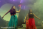 IMG_8736.jpg