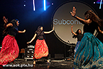 IMG_8764.jpg