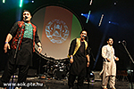 IMG_8779.jpg