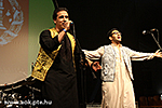 IMG_8780.jpg