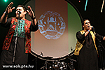 IMG_8781.jpg