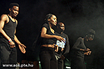 IMG_8828.jpg