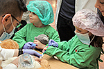 IMG_9075.jpg