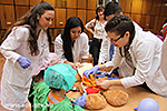 IMG_9084.jpg