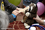 IMG_9182.jpg
