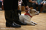 IMG_9256.jpg