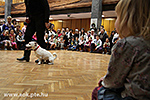 IMG_9261.jpg