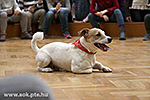 IMG_9263.jpg